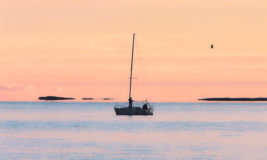 Boat and bird at sunset in Krk
